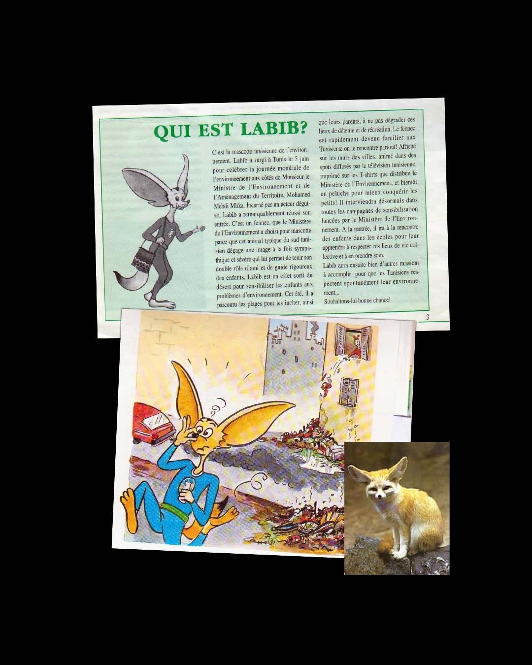Press clipping titled Qui est Labib with the fennec mascot illustration
